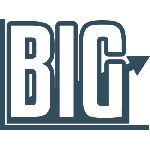 Business Improvement Group